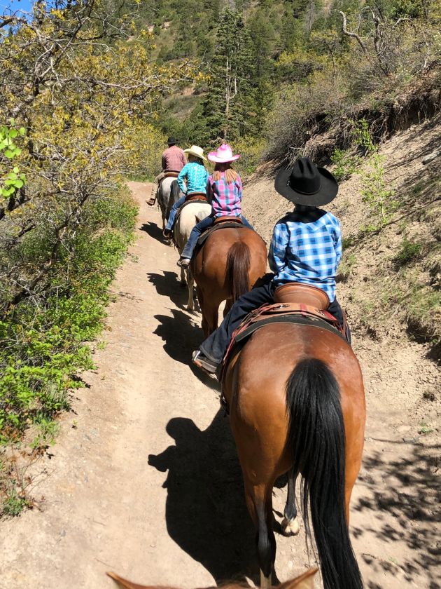 Ouray trail ride