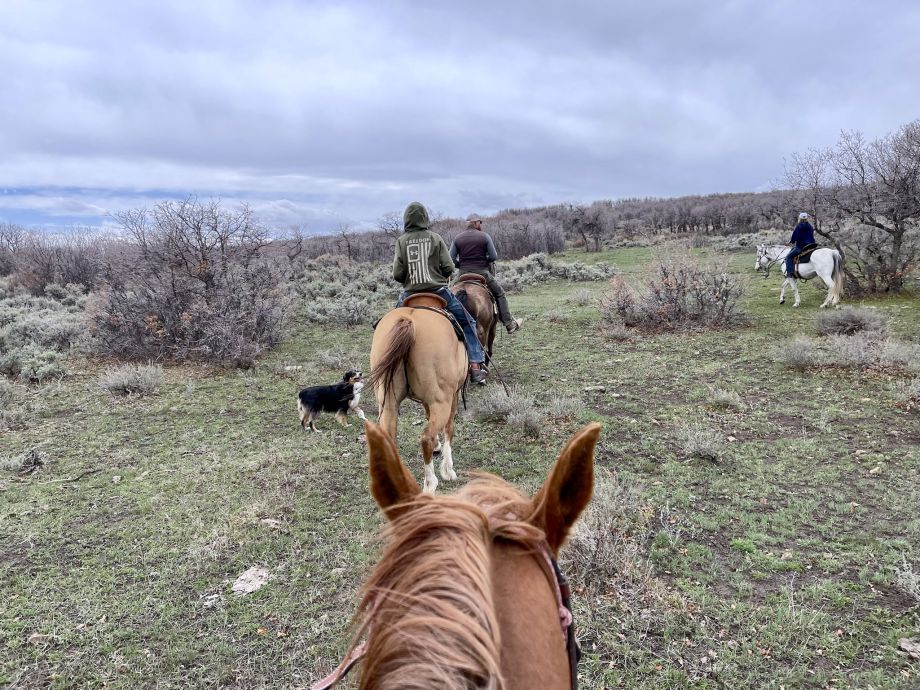 trail riding Telluride colorado