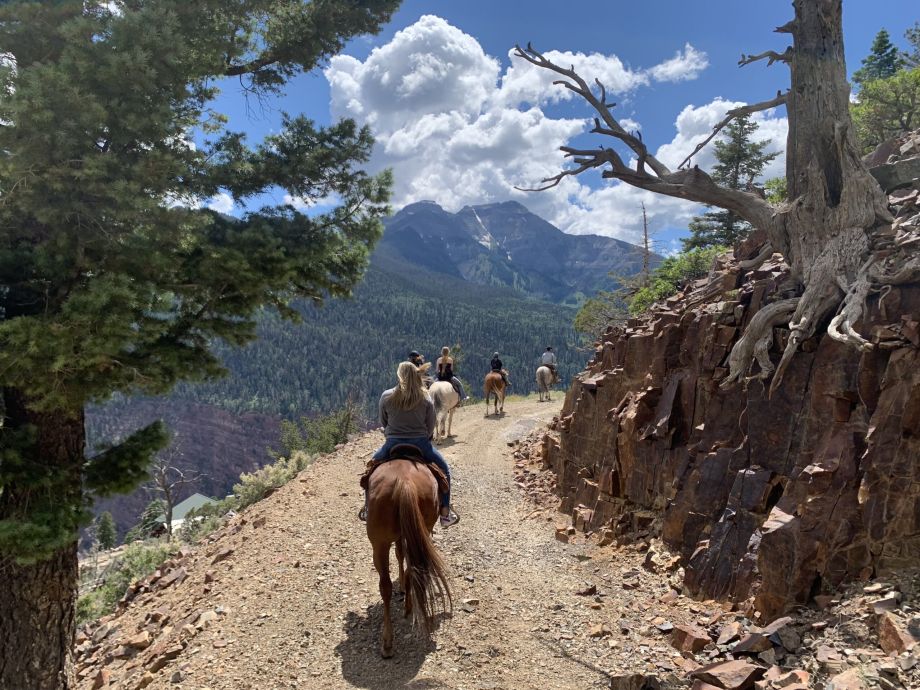 Gold mountain horseback rides
